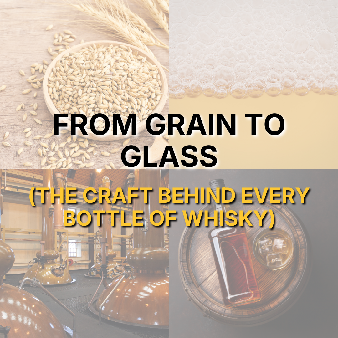 Day 6: From Grain to Glass (The Craft Behind Every Bottle of Whisky)