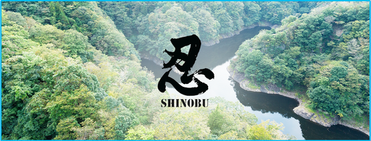 Brand Spotlight: Shinobu